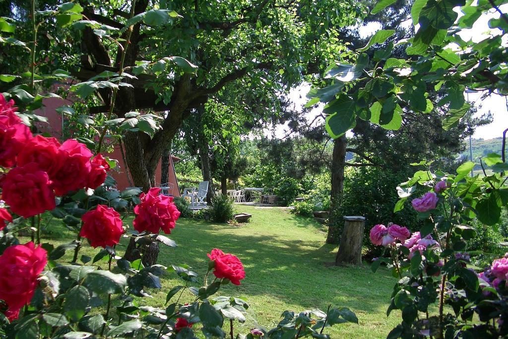 Hazelnut Valley Guarene Room photo